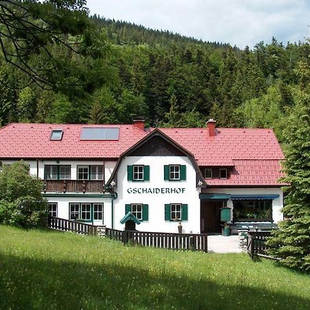 Landhaus Gschaiderhof Puchberg am Schneeberg Exteriér fotografie