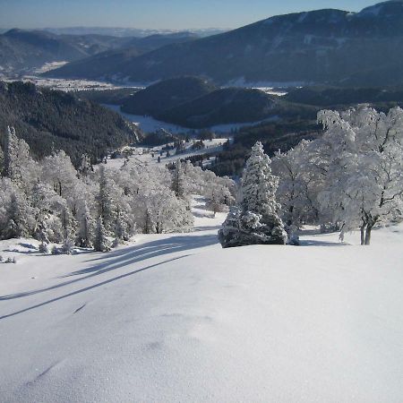 Landhaus Gschaiderhof Puchberg am Schneeberg Exteriér fotografie